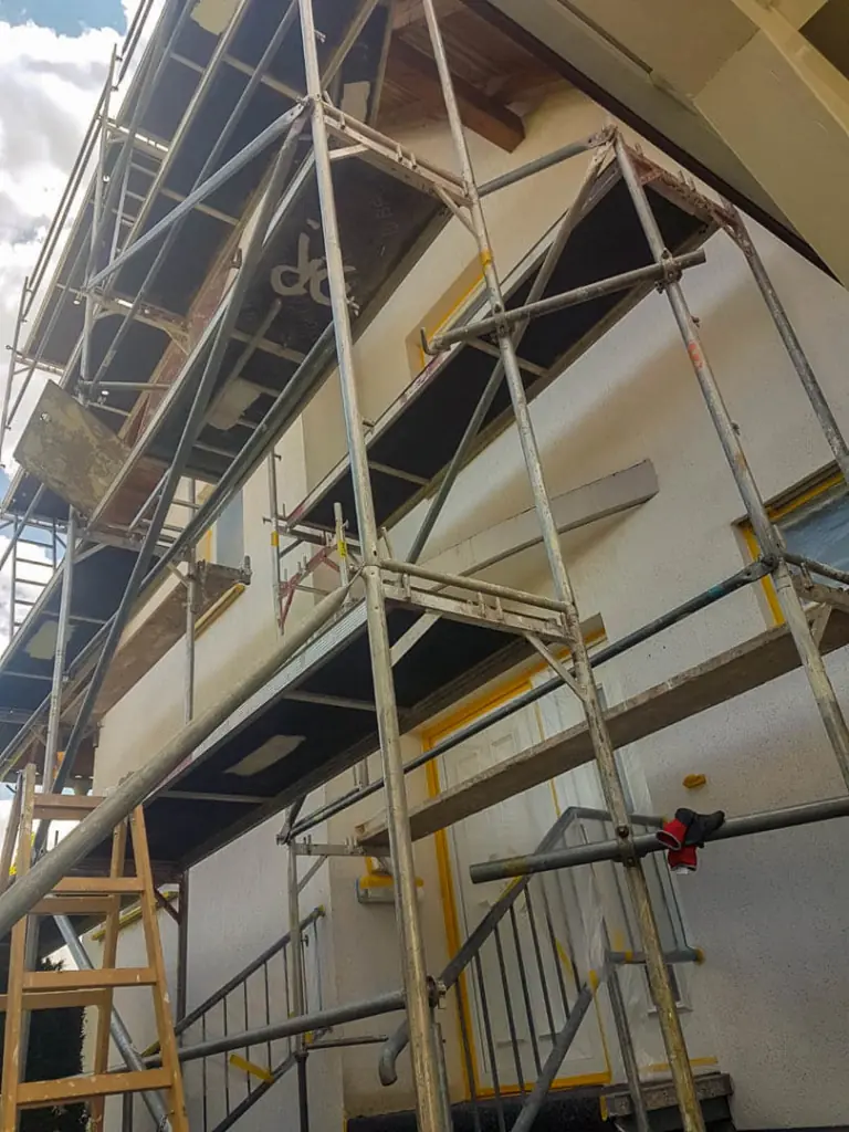 Schimmelbekämpfung in Erfurt